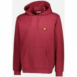 Ellesse SWEATSHIRT SWEAT À CAPUCHE EN COTON (EHM250) Sweats & Polaires Couleur Vert