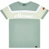Ellesse 191785 T-shirts & Polos Couleur Vert