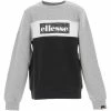 Ellesse Pavone jnr sweatshirt Sweats & Polaires Couleur Gris clair